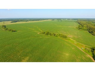 TRACT 20 - ILLINOIS LAND AUCTION - 4,810+/- ACRES OFFERED IN 85 TRACTS IN FRANKLIN, WILLIAMSON, HAMILTON & SALINE COUNTIES, ILLINOIS
